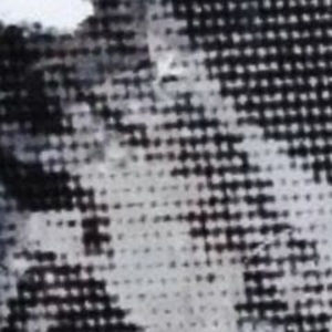 Meet your Posher, Lyrixx